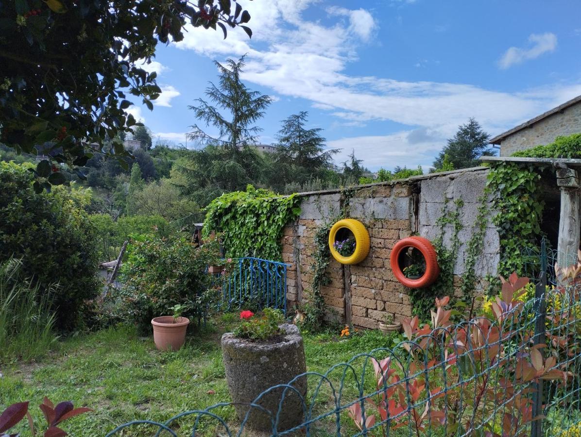 Casavacanzetorresansevero Orvieto Dış mekan fotoğraf